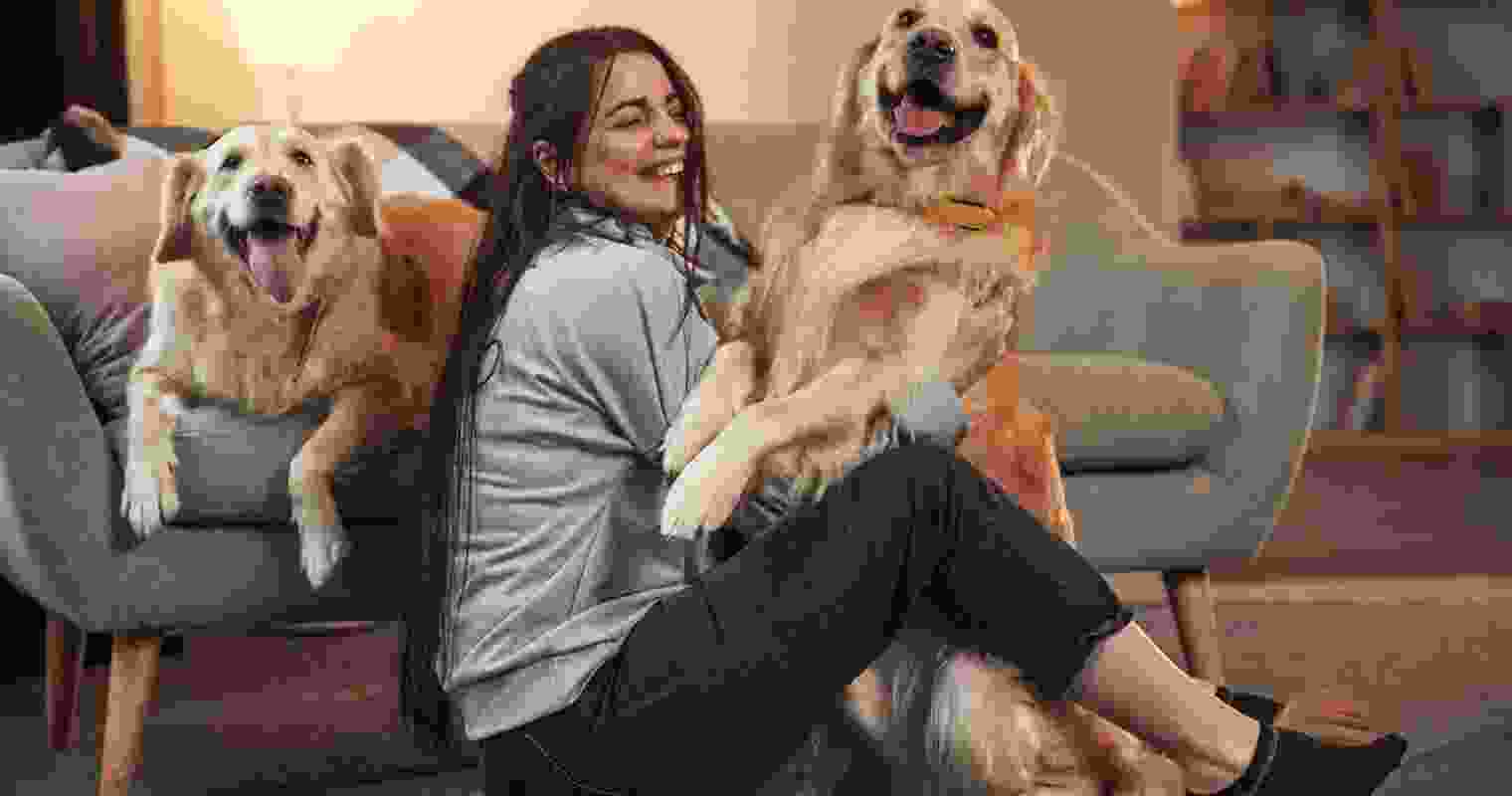 Aristocratic pet
