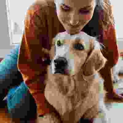 h1-gallery-img-02